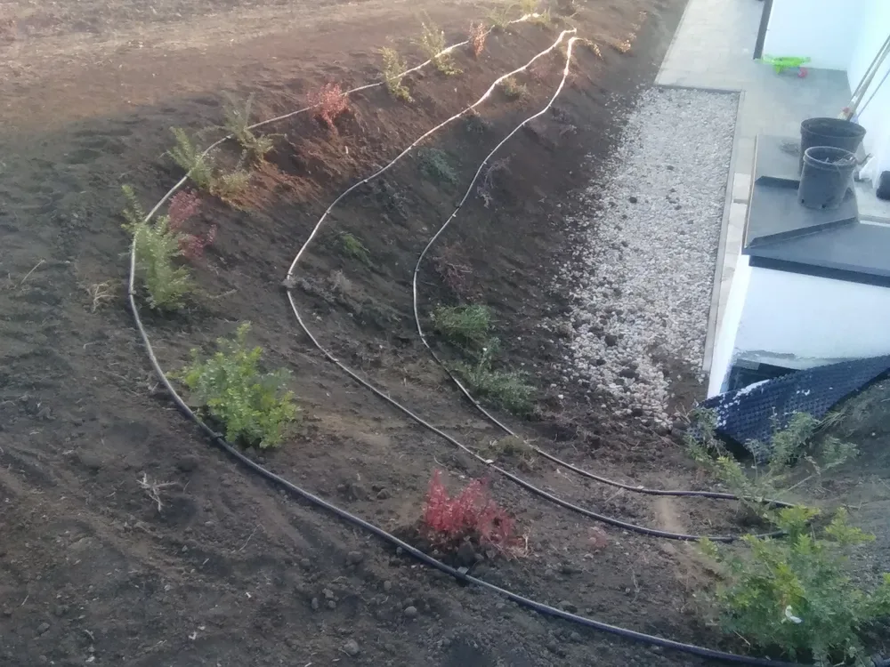 Kert felújítás előtti állapot