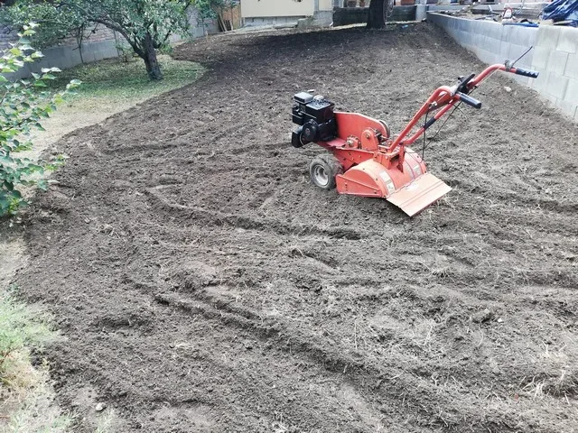 Kerti zónák kialakítása zöldfelületekkel