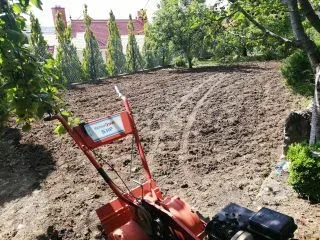 Gondozott kert – metszett növények és tiszta ágyások