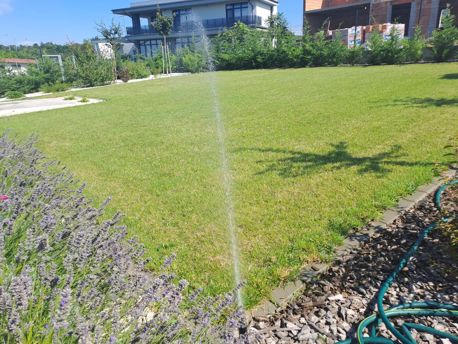 Gondozott kert – metszett növények és tiszta ágyások