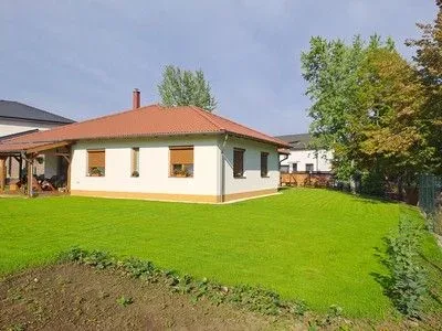 Rendezett gyepfelület és zöldfelület